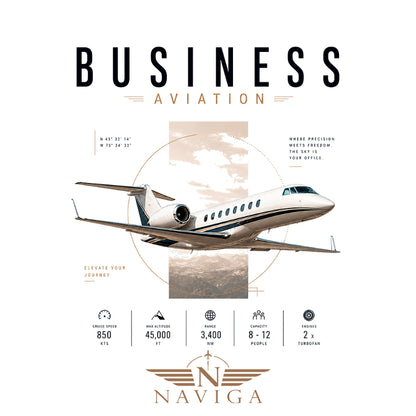 Business Aviation